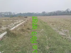 নিষ্কণ্টক নির্ভেজাল জমি বিক্রি হবে