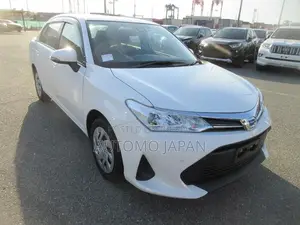 Toyota Axio EX 2021