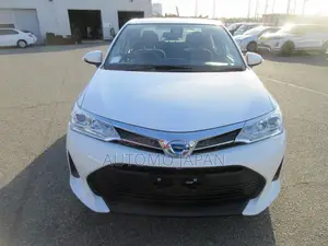 Toyota Axio EX 2021