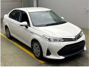 Toyota Axio EX 2020