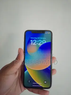 Apple iPhone X 256 GB (Used)