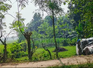 9 Shotok land for sale