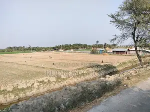 4 Bigha Clear Title Land for Sale