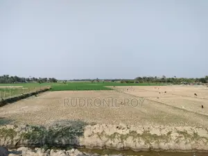 4 Bigha Clear Title Land for Sale