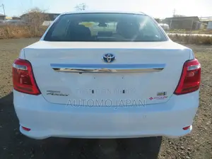 Toyota Axio EX 2021