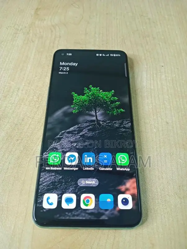 OnePlus Nord 2 5G (Used)