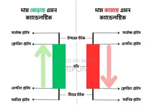 Smart Trade Academy