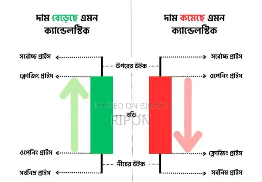 Smart Trade Academy