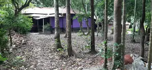 8 decimal land with house for sale in Lohagara.