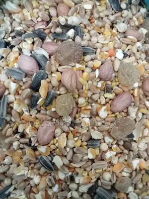 Premium Seedmix For Hamster