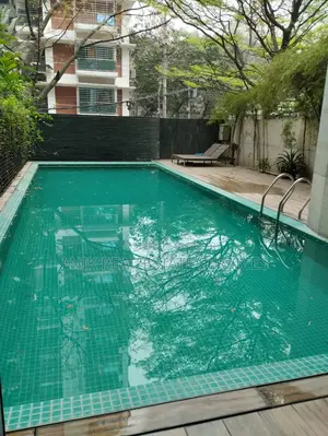 Swmming Pool Gym Semi Farnised Flat Rent At Gulshan