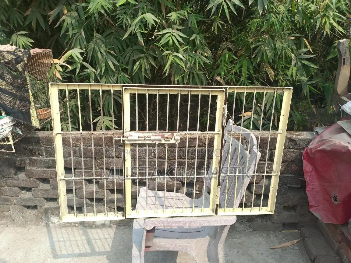 Steel Door