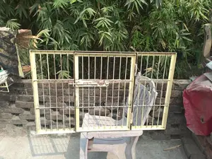 Steel Door