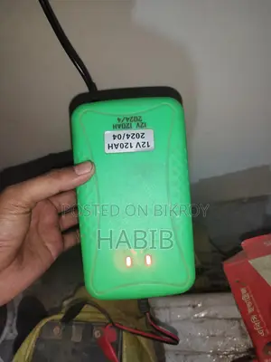 12 Volt Battery Charger