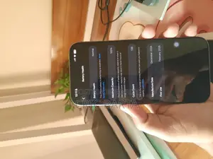 Apple iPhone 16 Pro Max (Used)