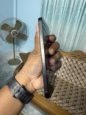 Apple iPhone 16 Pro Max (Used)