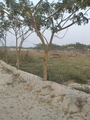 নির্ভর যোগ্য প্রজেক্টে জায়গা বিক্রি হবে