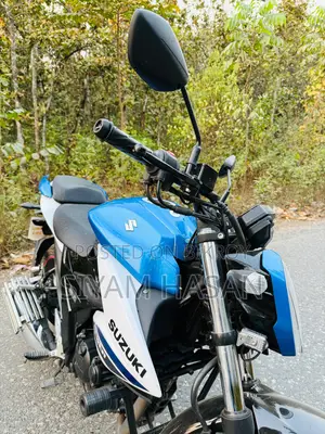 Suzuki Gixxer FI Disc . 2025