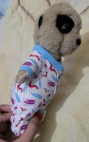 Oleg Meekat Toy