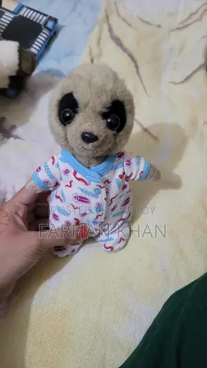 Oleg Meekat Toy