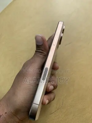 Apple iPhone 16 Pro Max (Used)