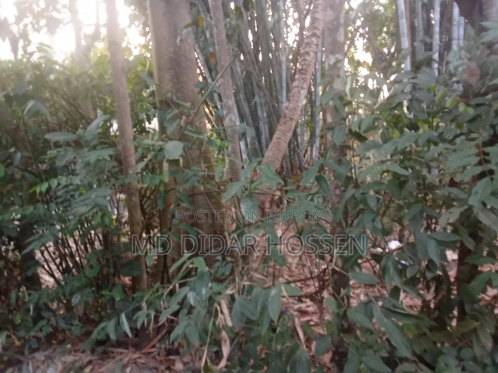 Clear Title and Dispute-Free Land for Sale