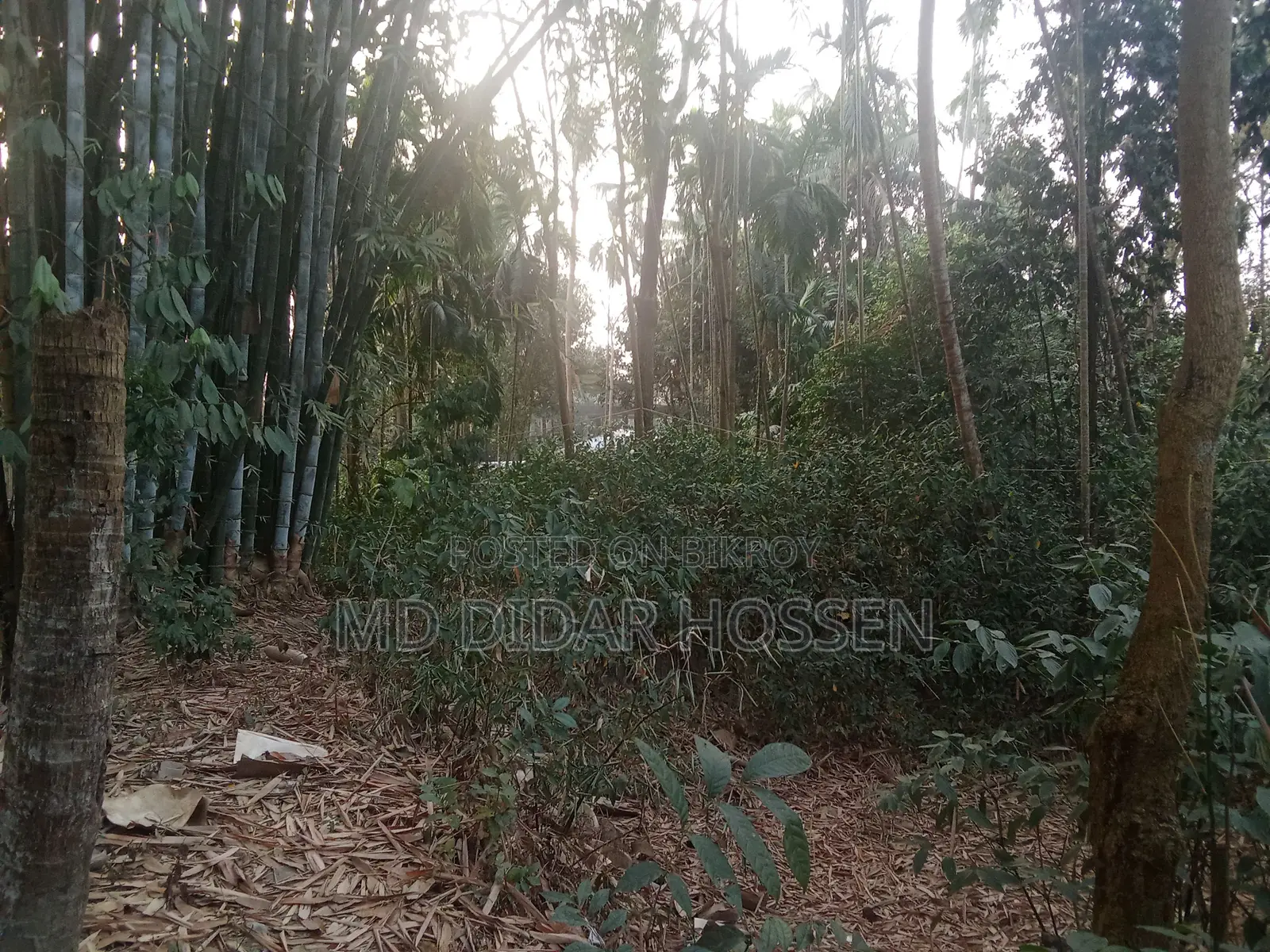 Clear Title and Dispute-Free Land for Sale