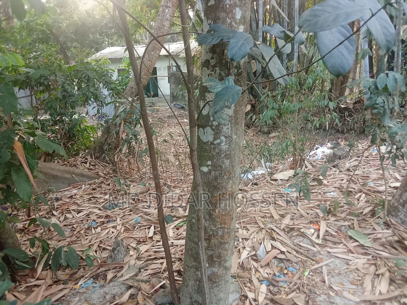 Clear Title and Dispute-Free Land for Sale