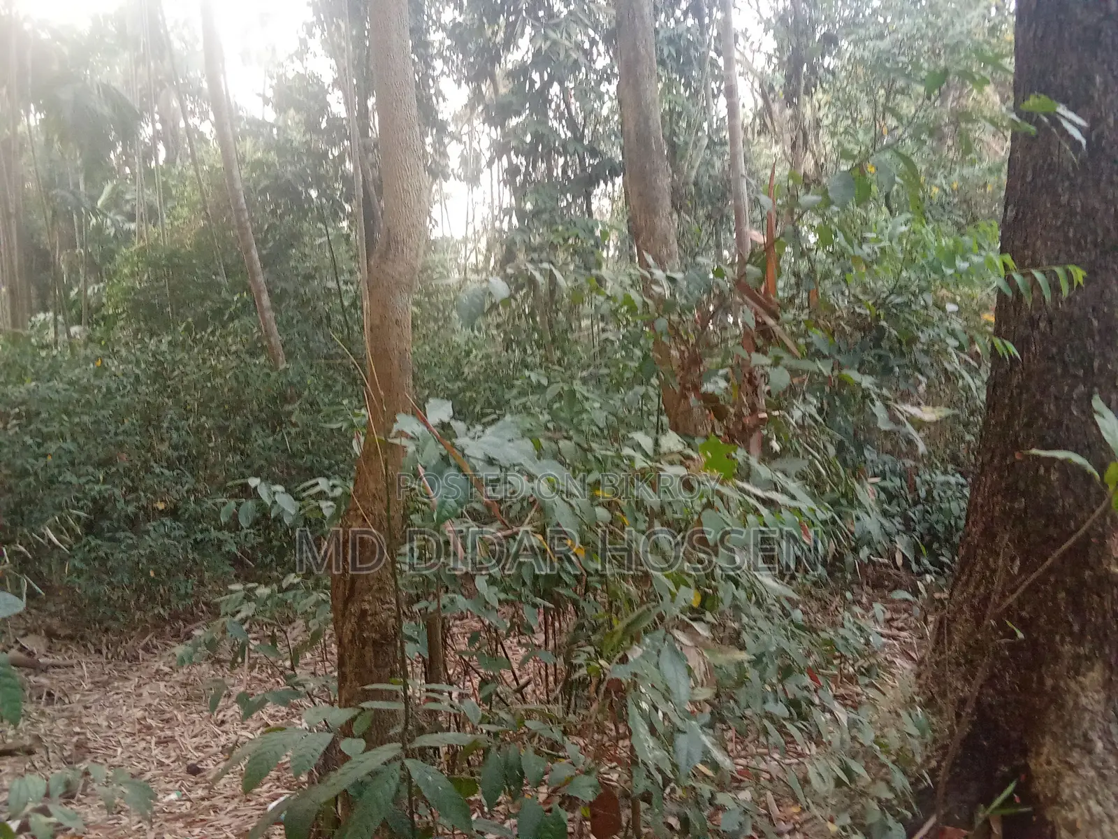 Clear Title and Dispute-Free Land for Sale
