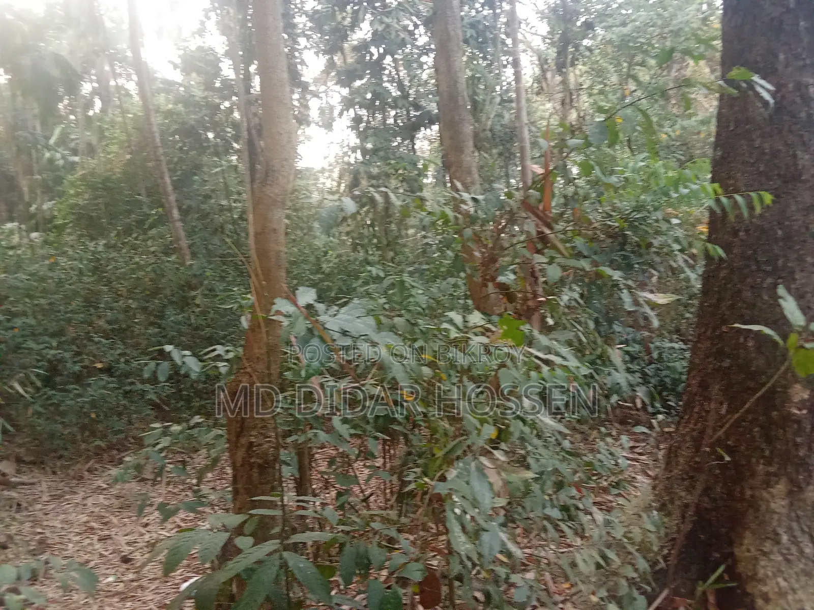 Clear Title and Dispute-Free Land for Sale