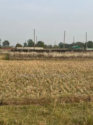 রাজউক পূর্বাচল প্লট বিক্রয়
