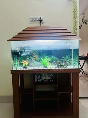 Fish Tank Aquarium 3.5 Feet