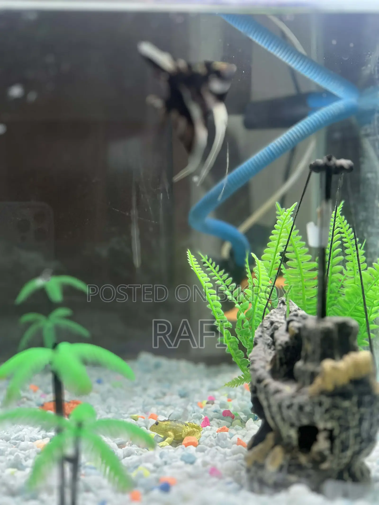 Fish Tank Aquarium 3.5 Feet