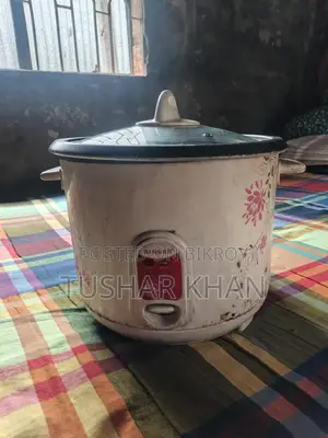 Singer Rice Cooker