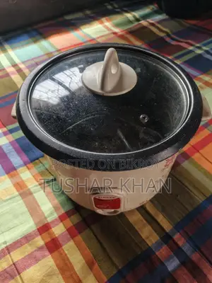 Singer Rice Cooker