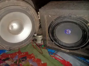 6" Inch Bass Speaker