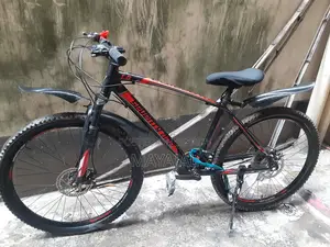 Bicycle for Sale