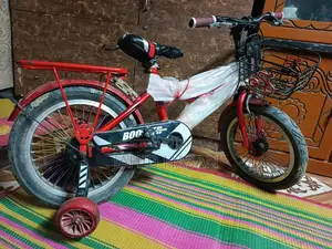 Bicycle is like new