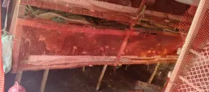 মুরগি খাচা
