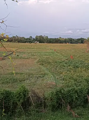 Land For Sale 2 Km Away From Mirsharai Economic Zone.