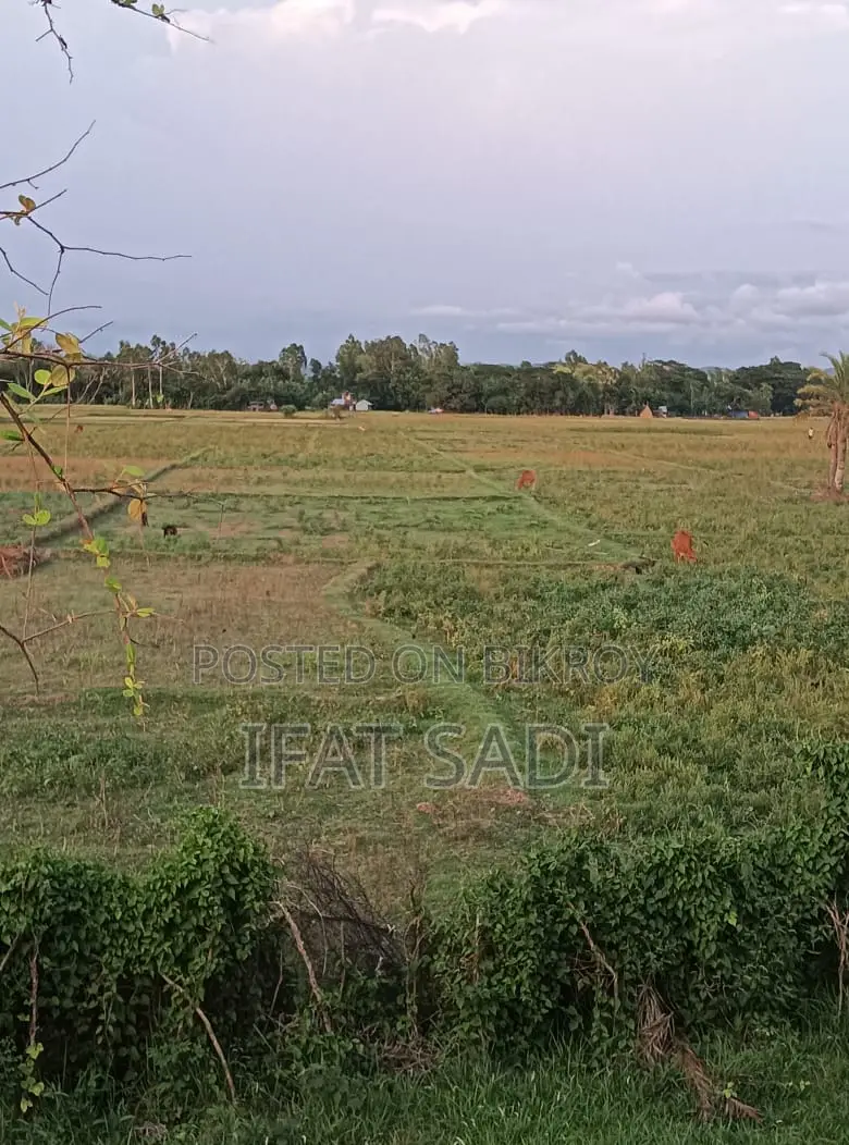 Land For Sale 2 Km Away From Mirsharai Economic Zone.