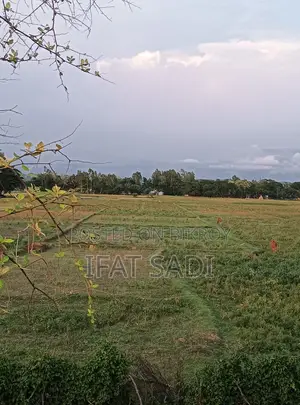 Land For Sale 2 Km Away From Mirsharai Economic Zone.