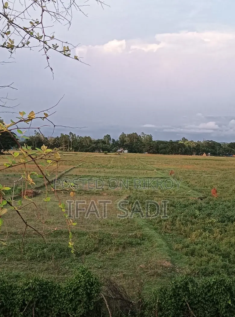 Land For Sale 2 Km Away From Mirsharai Economic Zone.
