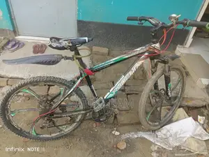 Phoenix Bicycle for sale