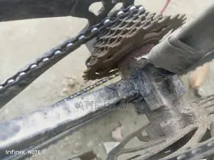 Phoenix Bicycle for sale