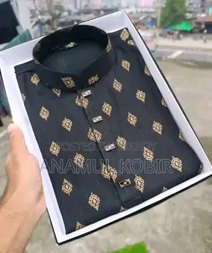 Exclusive Premium Punjabi Collection