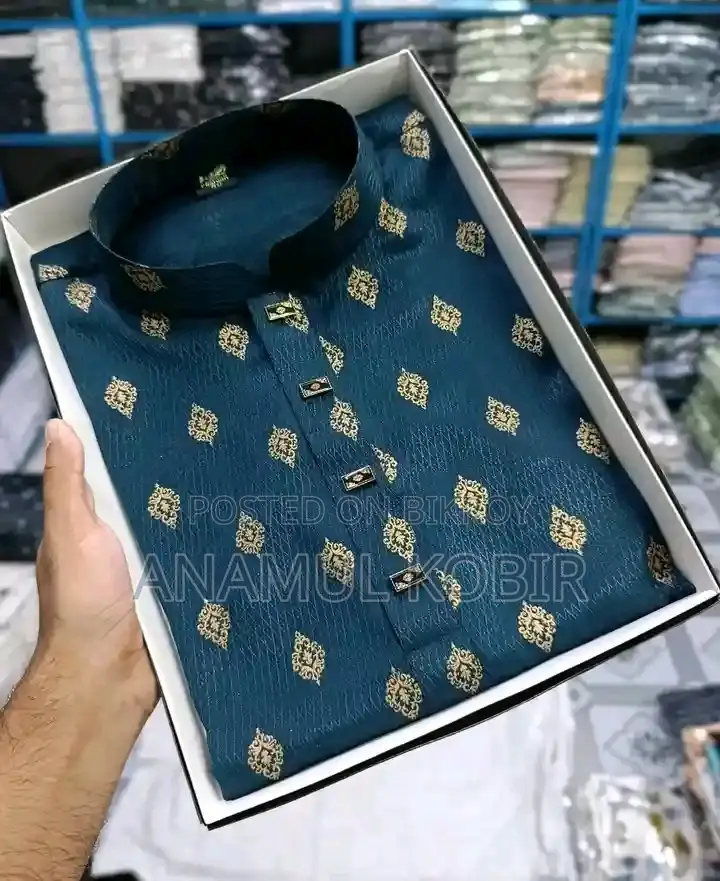 Exclusive Premium Punjabi Collection