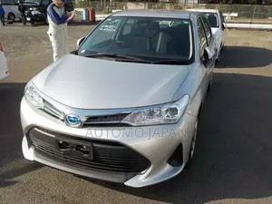Toyota Axio EX 2020