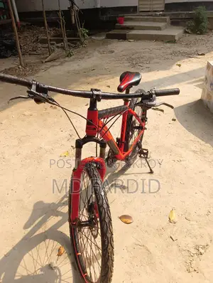 Forever Bicycle for sale