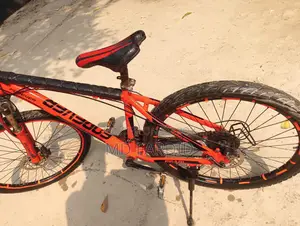 Forever Bicycle for sale